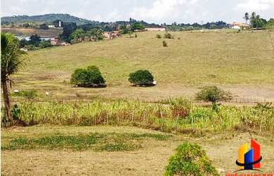 Imagem 1: Terreno por R$ 4,00 m² em São Sebastião do Passé