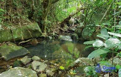 Imagem 3: Terreno à venda, 1360 m² por R$ 800.000 - Siriú - Garopaba/SC