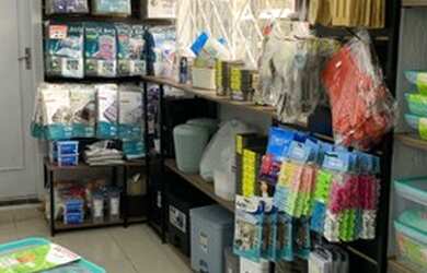 Imagem 5: Passo Ponto Maravilhoso na Avenida Brasil - Balneário Camboriú