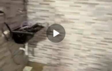 Imagem 9: Aceita Permuta casa Cohab II