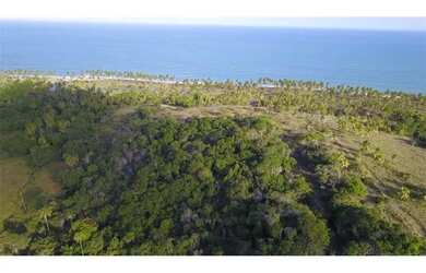 Imagem 7: Terreno Rural / Coqueiros