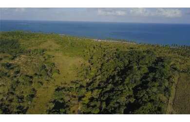 Imagem 11: Terreno Rural / Coqueiros