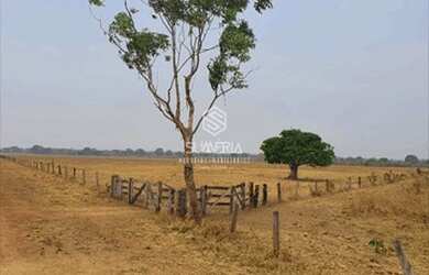 Imagem 3: Fazenda em São Felix do Araguaia com 83.346 hectares sendo 30 mil ha...
