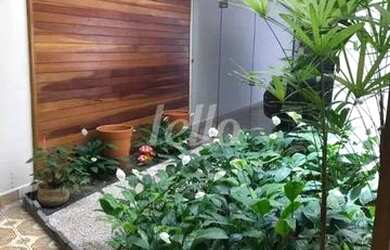 Imagem 7: São Paulo - Casa Padrão - Mooca