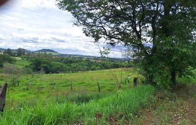 Imagem 3: Area Rural 15,5 Hectares Castelo Branco /Poranga/SP