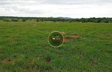 Imagem 4: 197 Alqueires Novo Brasil