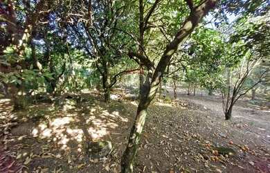 Imagem: O terreno possui 375m² de Área e está localizado em Chácara