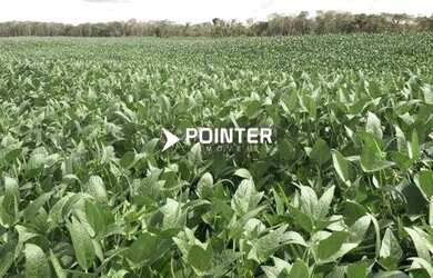 Imagem: A fazenda possui 1.742.000m² de Área e está localizado em