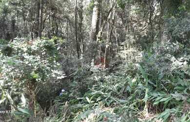 Imagem 9: Terreno à venda em Canela