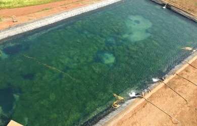 Imagem 4: Fazenda Recanto da Sucupira-Gleba 06 em Paracatu-MG - 125 Hectares R$...