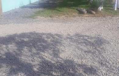 Imagem 2: Vendo casa. 3 Dormitórios