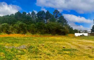 Imagem 6: Lote/Terreno para venda com 600 metros quadrados em Veloso - Osasco -...