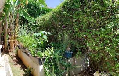 Imagem 6: Casa com 4 dormitórios, 460 m² - venda por R$ 5.000.000,00 ou aluguel...