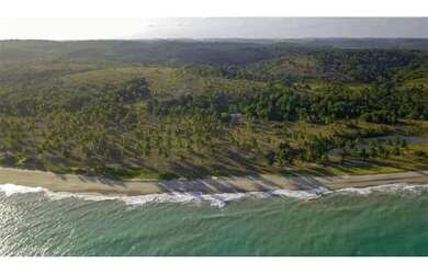 Imagem 8: Terreno Rural / Coqueiros