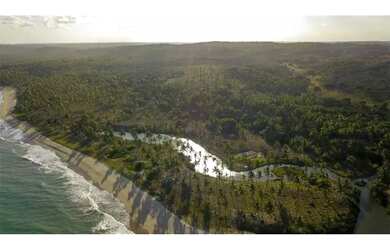 Imagem 4: Terreno Rural / Coqueiros