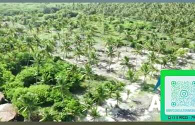 Imagem 9: Terreno Sao Miguel do Milagres Escritura R$18.000