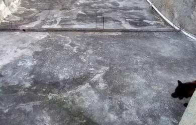 Imagem 4: Vendo Terreno Terreno / lote com venda por R$80.000