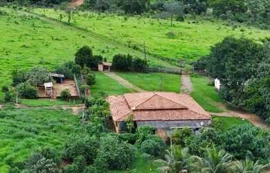 Imagem 3: Fazenda de 10 alqueires (girassol px Brasília