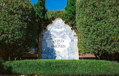 Imagem: O terreno possui 3.395m² de Área e está localizado em Bragança