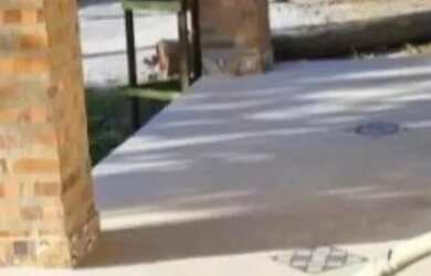 Imagem: A casa possui 2 Dormitórios, 2 Banheiros, 4 Vagas na garagem