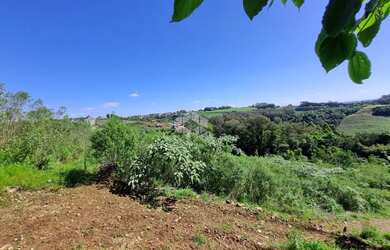 Imagem 2: Área de terra no interior de Monte Belo do Sul