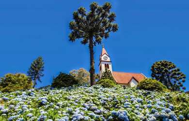 Imagem 10: Terreno - Bairro Pórtico II