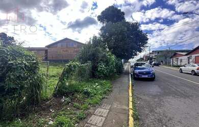 Imagem 3: Terreno à Venda em Canela