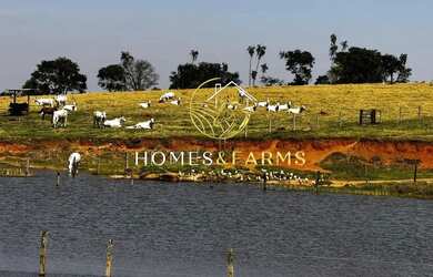 Imagem: A fazenda possui 47m² de Área e está localizado em Setor