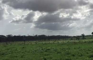 Imagem 5: Porteira fechada 400 hectares no Pará pronta por R$ 3.6 milhões