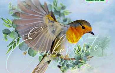 Imagem 2: Jardins Parma. 300m² de Área