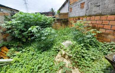 Imagem 14: Casa Venda Caraguatatuba - SP - Praia das Palmeiras