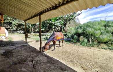 Imagem 9: Haras à venda, 22100 m² por R$ 970.000,00 - Serrinha - Teresópolis/RJ