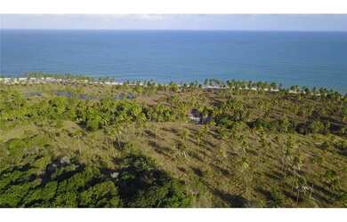 Imagem 12: Terreno Rural / Coqueiros