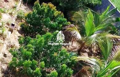 Imagem 11: Casa para à venda, 3 quartos no Horto Tupi - Piracicaba I Cód 35662