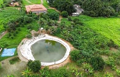 Imagem 2: Fazenda de 10 alqueires (girassol px Brasília