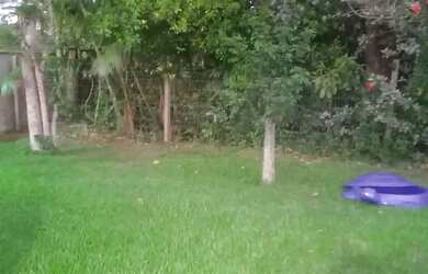 Imagem 12: CASA POR DIA PRA ALUGAR BALNEÁRIO PICARRAS