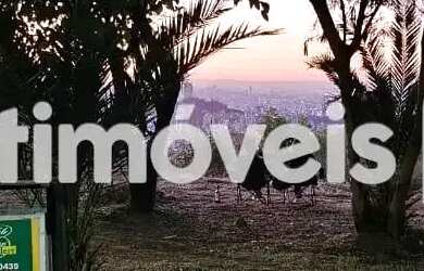 Imagem 8: Casa Comercial para Alugar no Belvedere Belo Horizonte MG