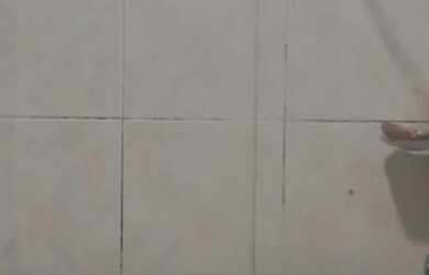 Imagem 14: APARTAMENTO BAIRRO CASTELO