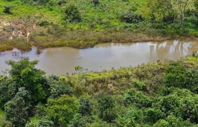 Imagem 5: Fazenda de 10 alqueires (girassol px Brasília