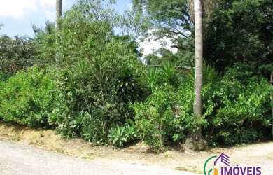 Imagem 6: AREA - LARANJA AZEDA - SP