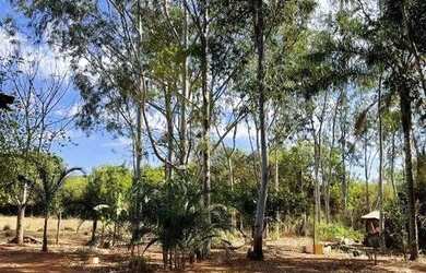 Imagem 5: Fazenda à venda, ÁREA RURAL DE UBERLÂNDIA - Uberlândia/MG