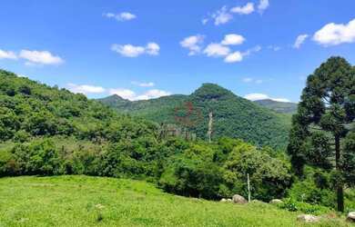 Imagem 6: Sítio à Venda em Gramado