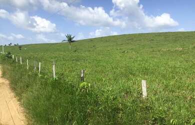 Imagem 10: Porteira fechada 400 hectares no Pará pronta por R$ 3.6 milhões