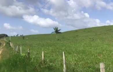 Imagem 7: Porteira fechada 400 hectares no Pará pronta por R$ 3.6 milhões
