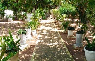 Imagem: A fazenda possui 2.000m² de Área e está localizado em Cerro