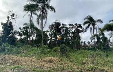 Imagem 3: Terreno a 600 metros da praia à venda, 360 m² por R$ 92.000 - Itapema do Sai - Itapoá/SC