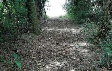 Imagem: A fazenda possui 4.000m² de Área e está localizado em Nazaré