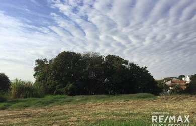 Imagem 1: Terreno à venda, 880 m² por R$ 559.000 - Jd. Sta. Rosália - Sorocaba/SP