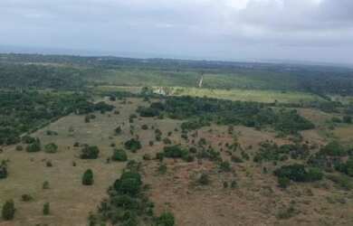 Imagem 1: Chácara com 2 dormitórios à venda, 20000 m² por R$ 300.000 - Cumuruxatiba...