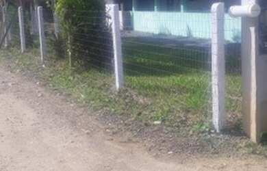 Imagem 1: Vendo casa. 3 Dormitórios